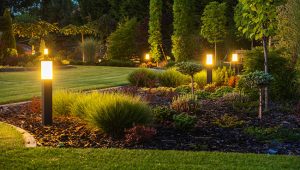 How Can Landscape Lighting Benefit Your Property?