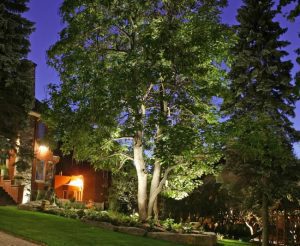 Top Exterior Lighting Trends
