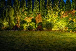 How Backyard Lighting Makes a Yard More Inviting