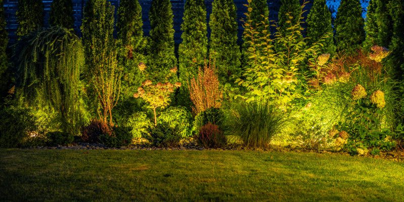 How Backyard Lighting Makes a Yard More Inviting